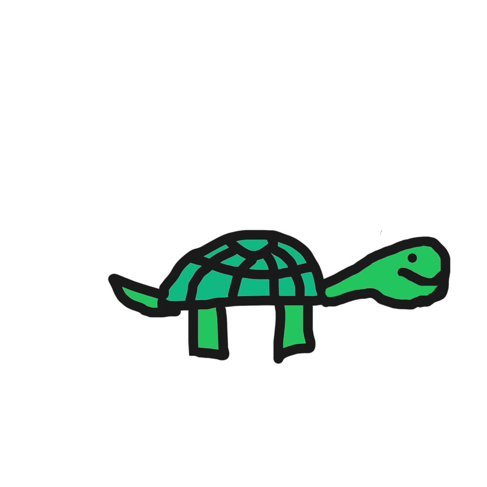 turtle