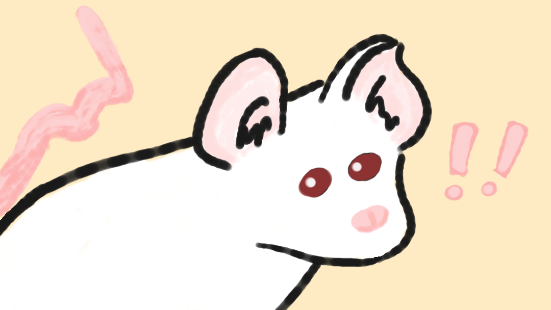 u might think ‘that looks like a rat tho!’ and you would be wrong. kinda