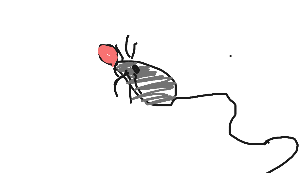 It’s mouse