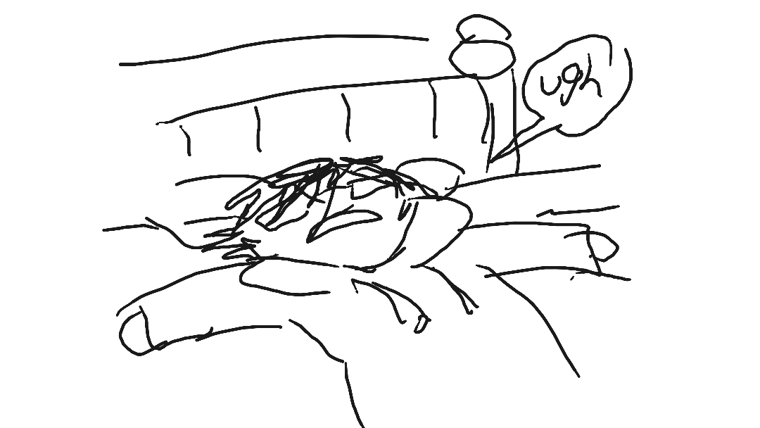 Zane bedrotting