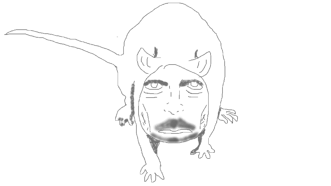 Dr Mouse