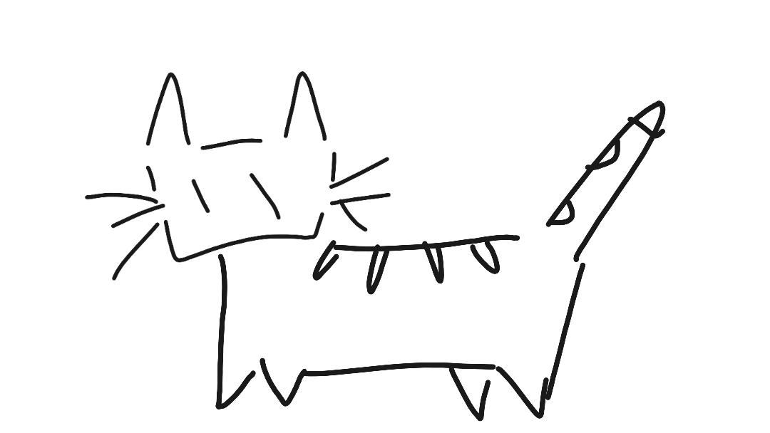 cat