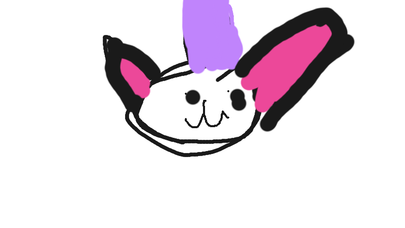 Wizzard cat