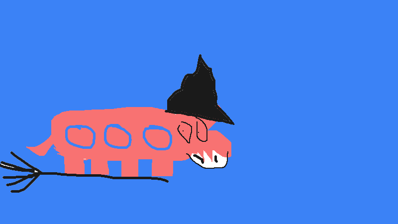I am a fan of this animal that is wearing a magic hat and riding a magic broom!