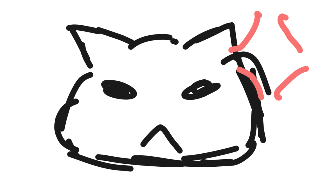 Angry kitty