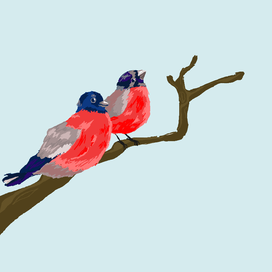 Did you know that bullfinches with red chest and belly are male? Now you know.
Theyre both boys, and they love each other