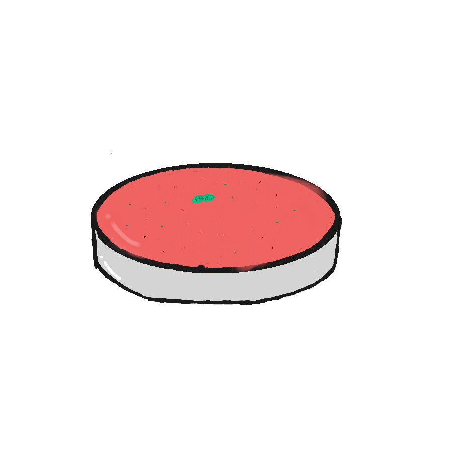 Tomato soup