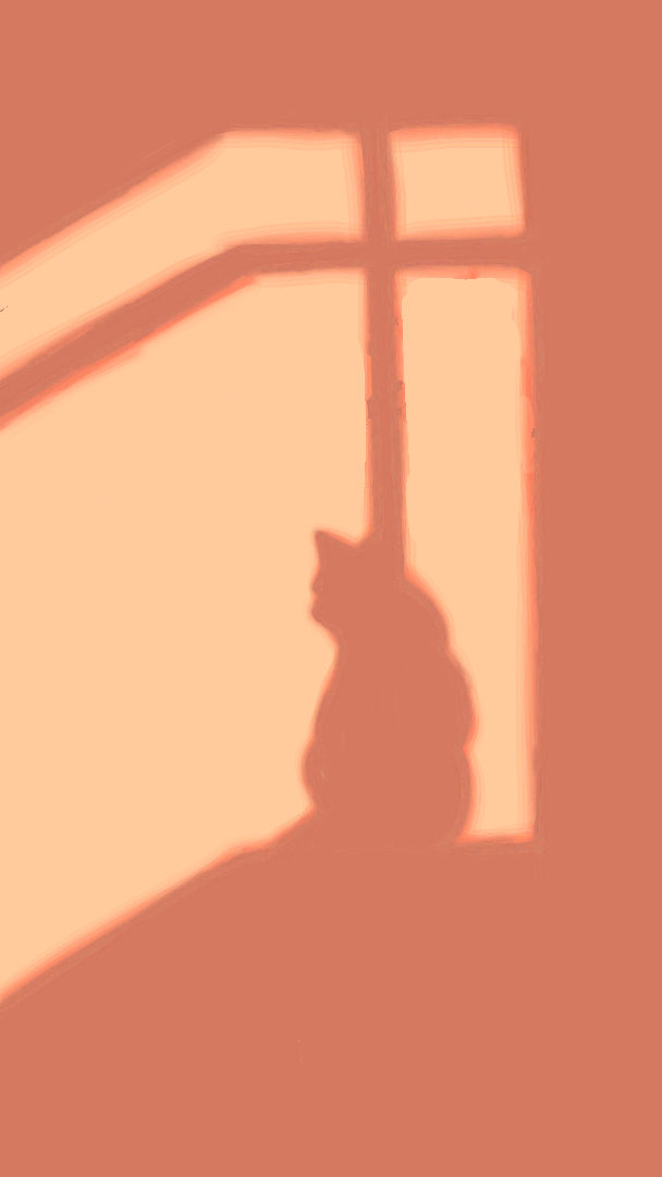 Sunshine kitty