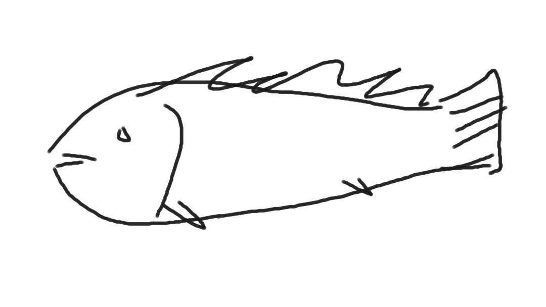 I like fish
