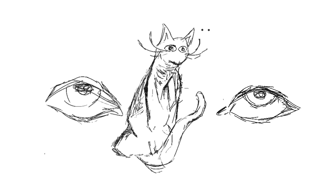 stare