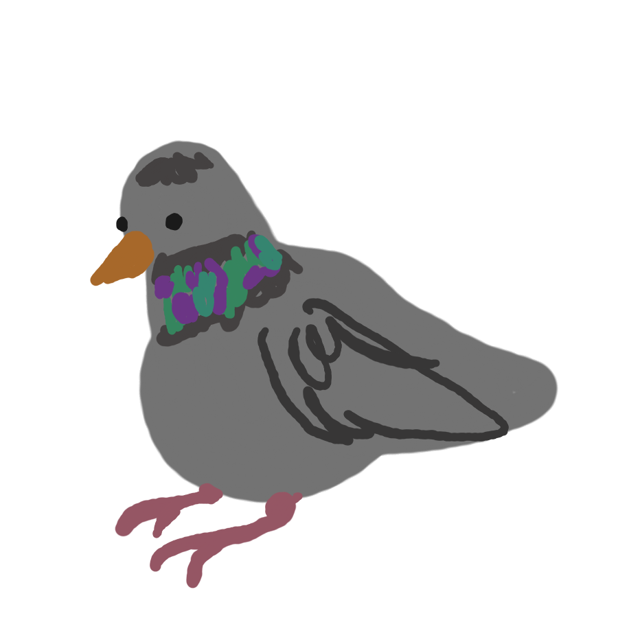 this is the pigeom i feed, he is very large. and he keeps breaking into my home.. i love him he's so big #large