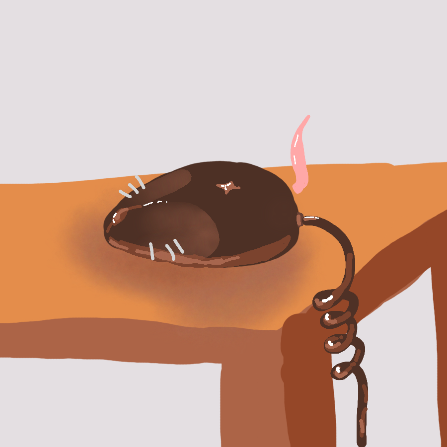 🐀