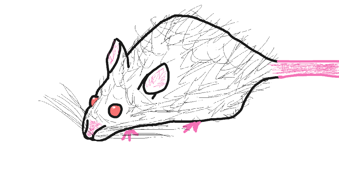 1st drawing since like middle school
