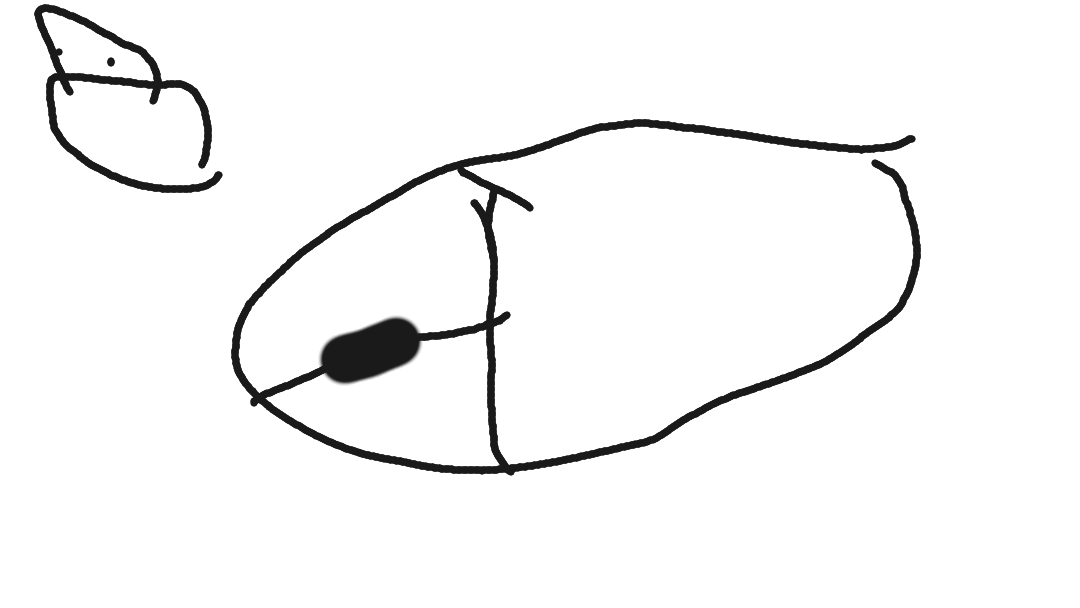 Wireless USB compatible computer mouse now only £12.99
